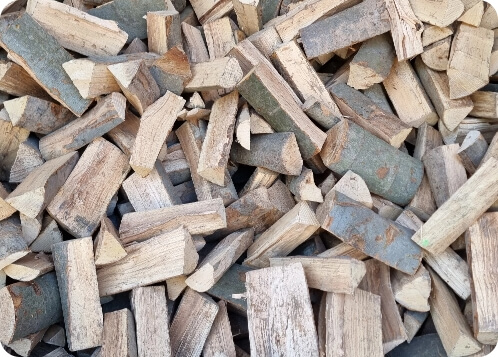 Bukové drevo - Čerstvé